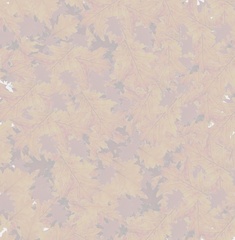 collage_fad_bg