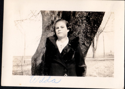 wilda